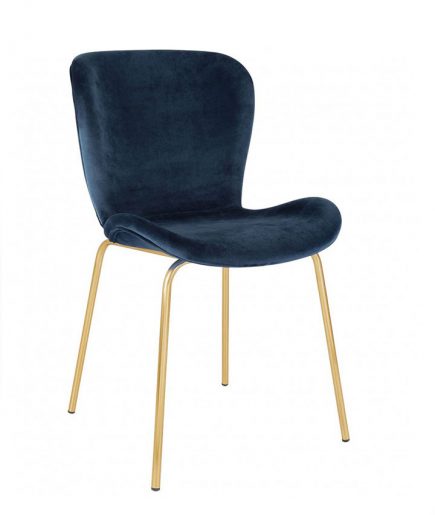 Project Management Software